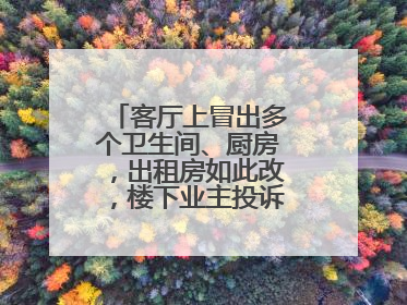 客厅上冒出多个卫生间、厨房，出租房如此改，楼下业主投诉：多少不舒服