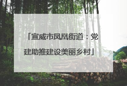 宣威市凤凰街道：党建助推建设美丽乡村