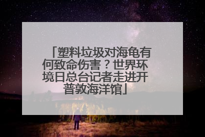 塑料垃圾对海龟有何致命伤害？世界环境日总台记者走进开普敦海洋馆