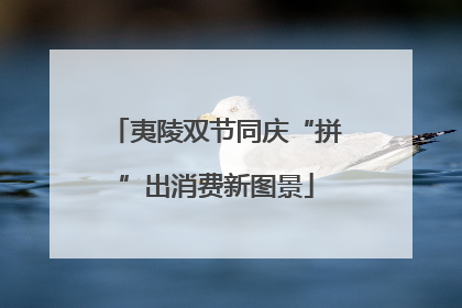 夷陵双节同庆“拼”出消费新图景