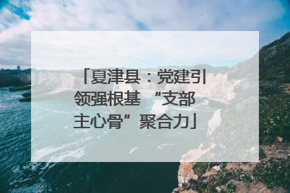 夏津县：党建引领强根基 “支部主心骨”聚合力