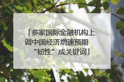 多家国际金融机构上调中国经济增速预期 “韧性”成关键词