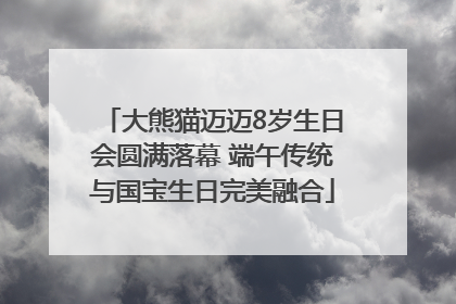 大熊猫迈迈8岁生日会圆满落幕 端午传统与国宝生日完美融合