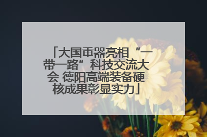 大国重器亮相“一带一路”科技交流大会 德阳高端装备硬核成果彰显实力