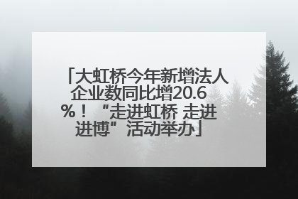 大虹桥今年新增法人企业数同比增20.6%！“走进虹桥 走进进博”活动举办