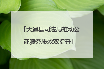 大通县司法局推动公证服务质效双提升