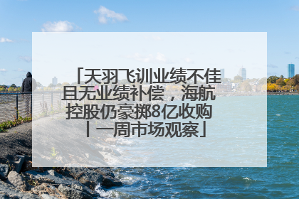 天羽飞训业绩不佳且无业绩补偿，海航控股仍豪掷8亿收购丨一周市场观察