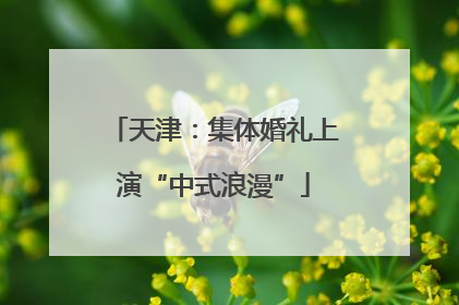 天津：集体婚礼上演“中式浪漫”