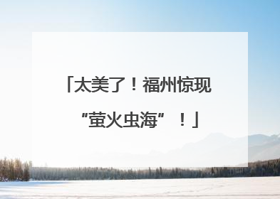 太美了！福州惊现“萤火虫海”！