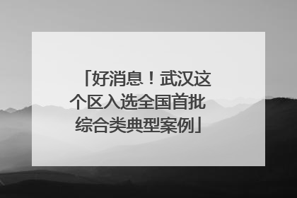 好消息！武汉这个区入选全国首批综合类典型案例