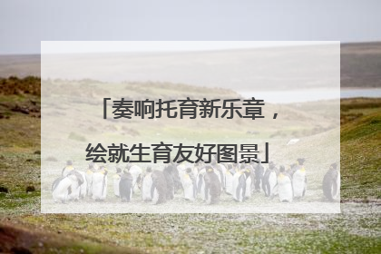 奏响托育新乐章，绘就生育友好图景