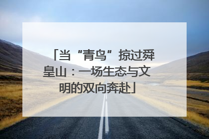 当“青鸟”掠过舜皇山：一场生态与文明的双向奔赴