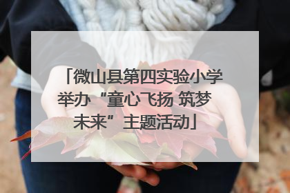 微山县第四实验小学举办“童心飞扬 筑梦未来”主题活动