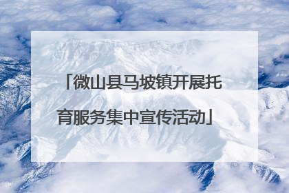 微山县马坡镇开展托育服务集中宣传活动