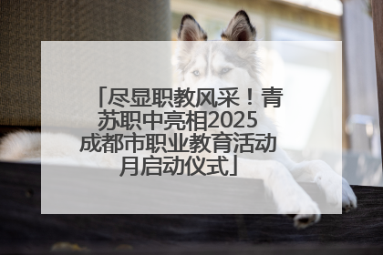 尽显职教风采！青苏职中亮相2025成都市职业教育活动月启动仪式