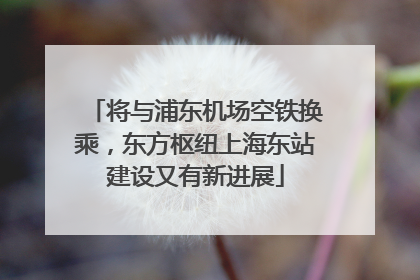 将与浦东机场空铁换乘，东方枢纽上海东站建设又有新进展