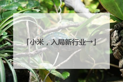 小米，入局新行业→