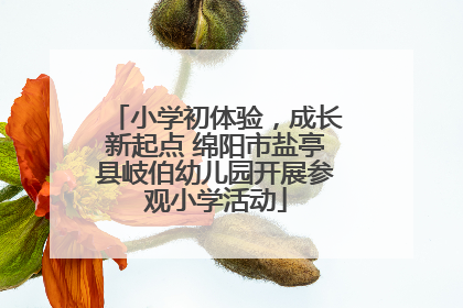 小学初体验，成长新起点 绵阳市盐亭县岐伯幼儿园开展参观小学活动