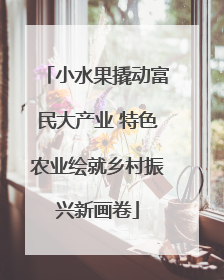 小水果撬动富民大产业 特色农业绘就乡村振兴新画卷