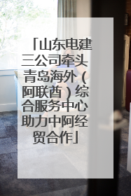 山东电建三公司牵头青岛海外（阿联酋）综合服务中心助力中阿经贸合作
