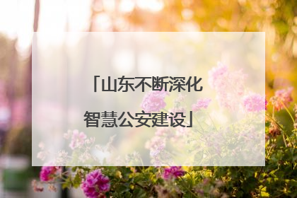 山东不断深化智慧公安建设