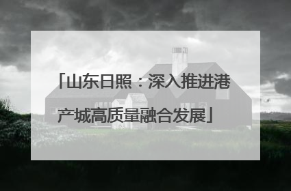 山东日照：深入推进港产城高质量融合发展