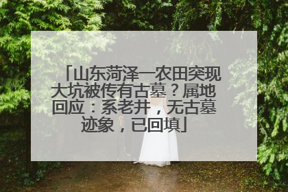 山东菏泽一农田突现大坑被传有古墓？属地回应：系老井，无古墓迹象，已回填