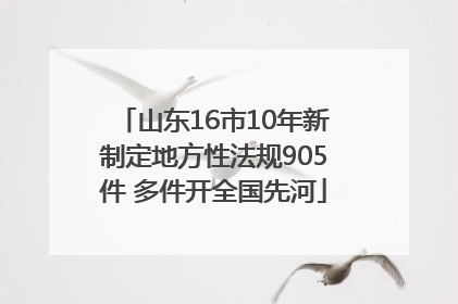 山东16市10年新制定地方性法规905件 多件开全国先河