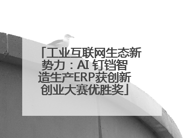 工业互联网生态新势力：AI 钉铛智造生产ERP获创新创业大赛优胜奖