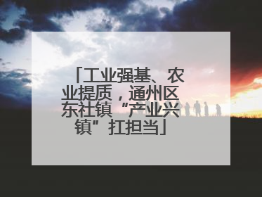 工业强基、农业提质，通州区东社镇“产业兴镇”扛担当