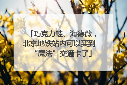 巧克力蛙、海德薇，北京地铁站内可以买到“魔法”交通卡了