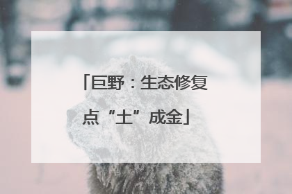 巨野：生态修复点“土”成金
