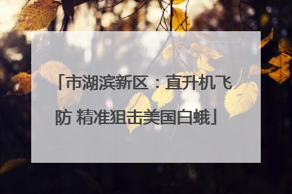 市湖滨新区：直升机飞防 精准狙击美国白蛾