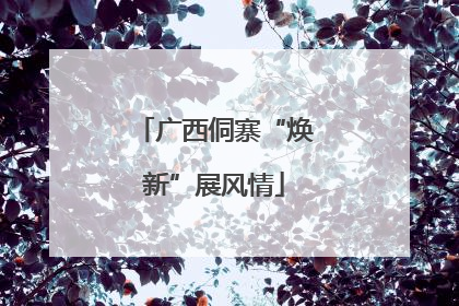 广西侗寨“焕新”展风情