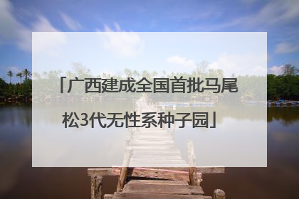 广西建成全国首批马尾松3代无性系种子园