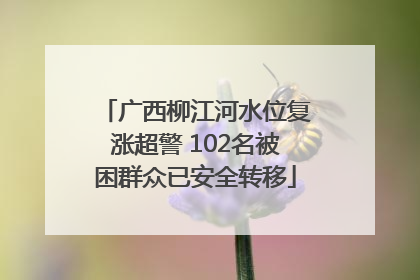 广西柳江河水位复涨超警 102名被困群众已安全转移