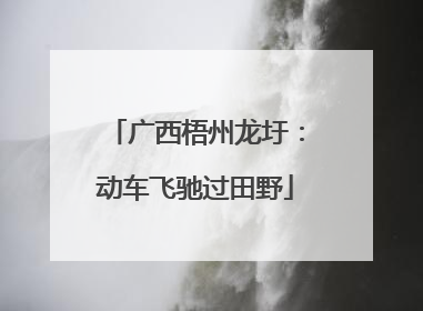 广西梧州龙圩：动车飞驰过田野