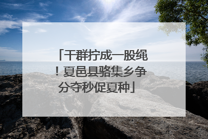 干群拧成一股绳！夏邑县骆集乡争分夺秒促夏种