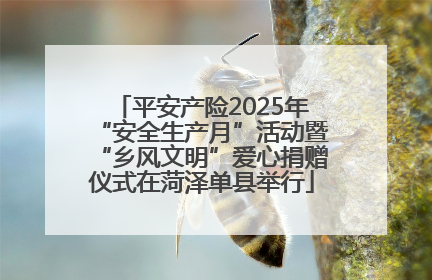 平安产险2025年“安全生产月”活动暨“乡风文明”爱心捐赠仪式在菏泽单县举行