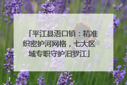 平江县浯口镇：精准织密护河网格，七大区域专职守护汨罗江