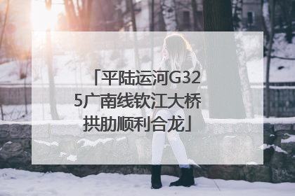 平陆运河G325广南线钦江大桥拱肋顺利合龙