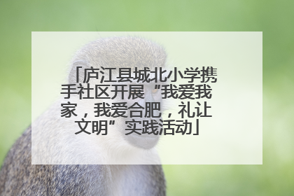 庐江县城北小学携手社区开展“我爱我家,我爱合肥,礼让文明”实践活动