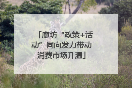 廊坊“政策+活动”同向发力带动消费市场升温
