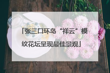 张三口环岛“祥云”模纹花坛呈现最佳景观