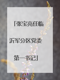 张宝亮任临沂军分区党委第一书记