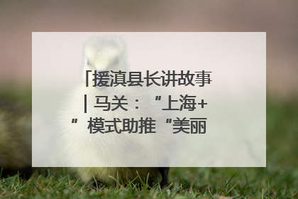 援滇县长讲故事｜马关：“上海+”模式助推“美丽产业”幸福绽放