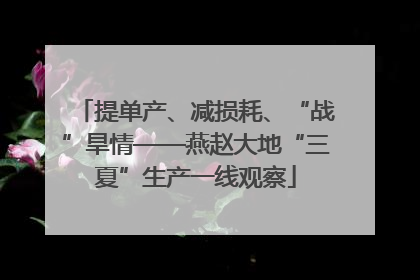 提单产、减损耗、“战”旱情——燕赵大地“三夏”生产一线观察