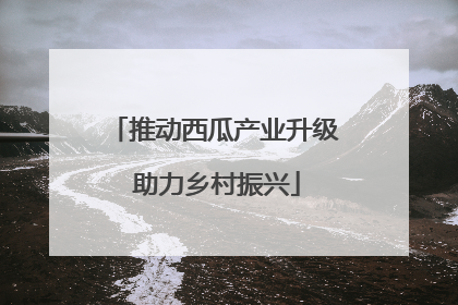推动西瓜产业升级 助力乡村振兴