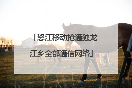 怒江移动抢通独龙江乡全部通信网络