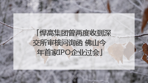 悍高集团曾两度收到深交所审核问询函 佛山今年首家IPO企业过会